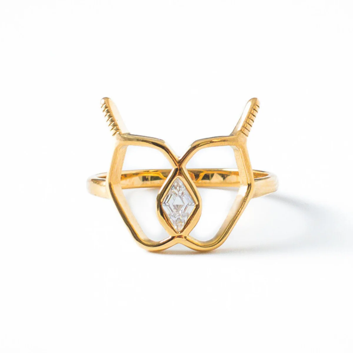 Pickleball Rings